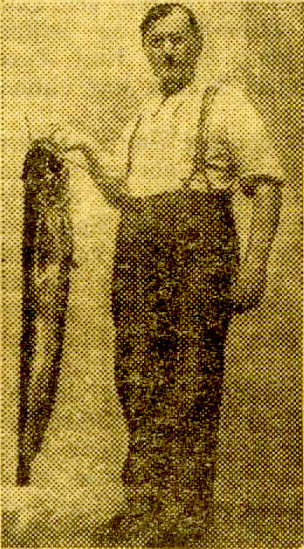 Der Mistelbacher Mechanikermeister Karl Holy mit dem kapitalen Fang.